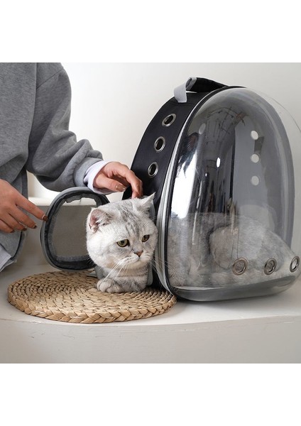 Gri Kedi Çantası Nefes Taşınabilir Evcil Hayvan Taşıma Çantası Açık Seyahat Sırt Çantası Kedi ve Köpek Için Şeffaf Uzay Evcil Hayvan Sırt Çantası (Yurt Dışından) fırsatları