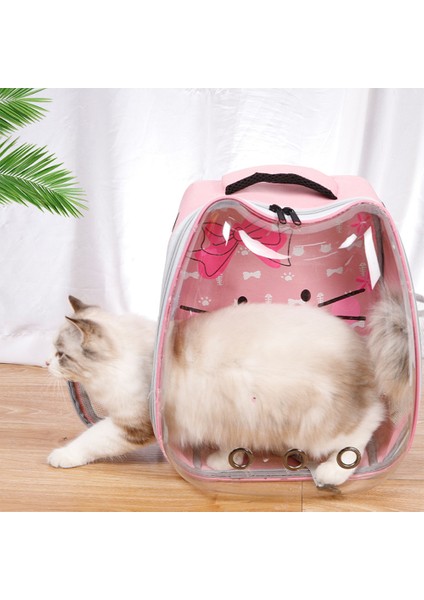 Açık Gri 36X27X40CM Kedi Çantası Nefes Omuzlar Sırt Çantası Taşınabilir Evcil Hayvan Taşıma Çantası Köpek Açık Seyahat Sırt Çantası Şeffaf Büyük Uzay Kedi Kaynağı (Yurt Dışından) modelleri