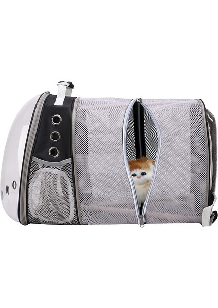 Yeşil Evcil Hayvan Malzemeleri Kedi Şeffaf Çanta Seyahat Açık Yürüyüş Taşınabilir Sırt Çantası Genişletebilir Büyük Kapasiteli Pet Kanvas Çanta (Yurt Dışından) modelleri