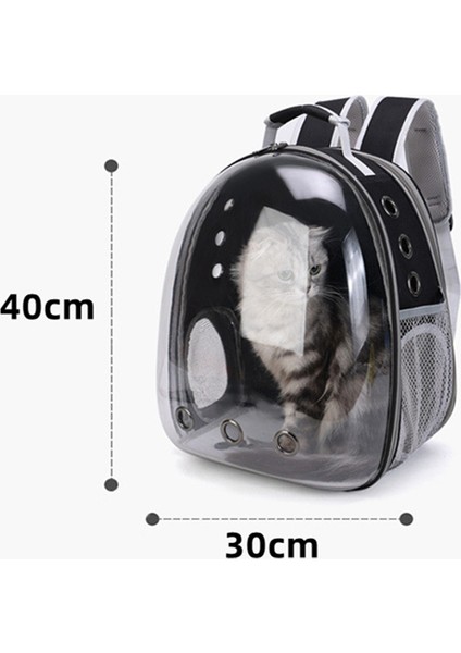 Yeşil Evcil Hayvan Malzemeleri Kedi Şeffaf Çanta Seyahat Açık Yürüyüş Taşınabilir Sırt Çantası Genişletebilir Büyük Kapasiteli Pet Kanvas Çanta (Yurt Dışından) indirimleri