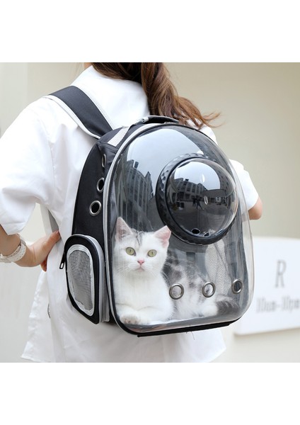 Stil 1 Taşıyıcı Kediler Için Pet Omuzdan Askili Çanta Nefes Açık Kedi Küçük Köpek Sırt Çantası Seyahat Uzay Kapsülü Kafes Taşıma Çantası Taşınabilir (Yurt Dışından) fırsatları