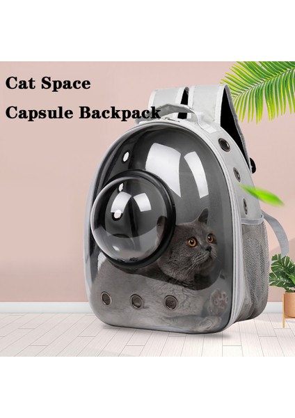 Mavi Kedi Uzay Kapsülü Sırt Çantası Pet Köpek Taşıma Çantası Nefes Taşınabilir Şeffaf Sırt Çantası Astronot Pencere Kabarcık Seyahat Çantası (Yurt Dışından) fiyatları