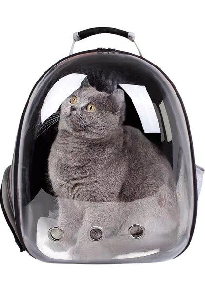 Stil 4 Uzay Modülü Pet Kedi Sırt Çantası Taşınabilir Seyahat Nefes Kedi Çantası Kapsül Taşıma Köpek Kedi Şeffaf Sırt Çantası Evcil Hayvan Taşıma Çantası (Yurt Dışından) modelleri