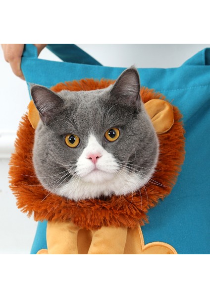 Yeşil 40X35CM-IN 4kg Yumuşak Evcil Hayvan Taşıyıcıları Aslan Tasarımı Taşınabilir Nefes Alabilen Çanta Kedi Köpek Taşıma Çantaları Giden Seyahat Evcil Hayvan Çantası Güvenlik Fermuarlı (Yurt Dışından) fiyatları