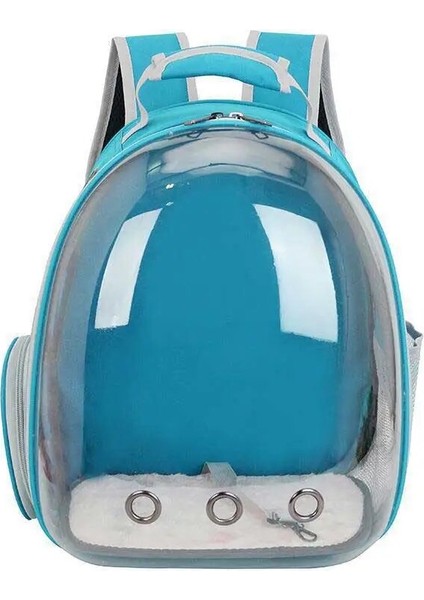 Kırmızı Nefes Kedi Sırt Çantası Evcil Hayvan Sırt Çantası Nefes Kedi Sırt Çantası Küçük Köpek Kedi Sırt Çantası Seyahat Sırt Çantası Kafes Taşıma Evcil Hayvanlar (Yurt Dışından) modelleri