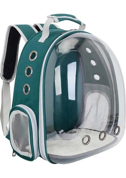 Kırmızı Nefes Kedi Sırt Çantası Evcil Hayvan Sırt Çantası Nefes Kedi Sırt Çantası Küçük Köpek Kedi Sırt Çantası Seyahat Sırt Çantası Kafes Taşıma Evcil Hayvanlar (Yurt Dışından) fırsatları