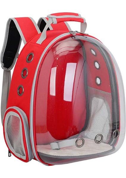 Mavi Nefes Kedi Sırt Çantası Evcil Hayvan Sırt Çantası Nefes Kedi Sırt Çantası Küçük Köpek Kedi Sırt Çantası Seyahat Sırt Çantası Kafes Taşıma Evcil Hayvanlar (Yurt Dışından) indirimleri