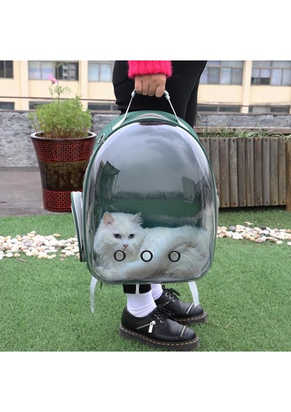 047GRAY 37X28X46CM Taşınabilir Kedi Taşıma Çantası Nefes Pet Küçük Köpek Kedi Sırt Çantası Açık Seyahat Uzay Kapsülü Kafes Şeffaf Uzay Pet Sırt Çantası (Yurt Dışından) modelleri