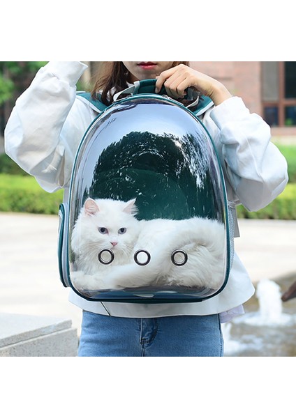 Siyah Sırt Çantası Taşıyıcı Kedi Sohbetleri Için Taşınabilir Evcil Hayvan Taşıma Çantası Kedi Küçük Köpek Kedi Taşıyıcı Sırt Çantaları Seyahat Uzay Kapsülü Kafes (Yurt Dışından) modelleri