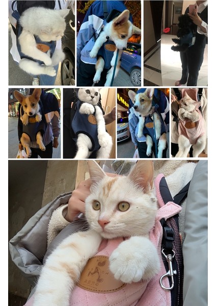 Stil 7 M Pet Kedi Taşıyıcı Moda Seyahat Çantası Açık Köpek Sırt Çantası Nefes Evcil Hayvan Çantaları Omuz Köpek Taşıyıcı Küçük Köpek Evcil Hayvan Ürünleri (Yurt Dışından) indirimleri