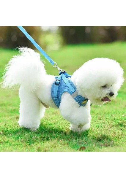 Mavi L Reflektif Yavru Köpekler ve Kedi Koşum Yeleği, Yürüyüş Kurşun Kemerli, Ayarlanabilir Kedi Yaka Polyester Polyester Koşum Takımı, (Yurt Dışından)