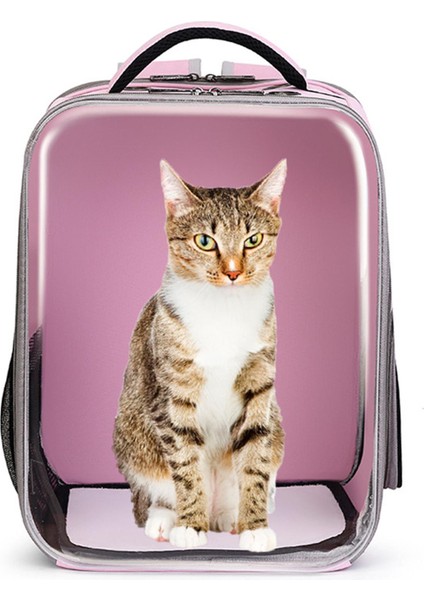 Gri Pet Kedi Taşıma Çantası Yürüyüş Kamp Gezintisi Için Rahat Kedi Taşıyıcı Sırt Çantası (Yurt Dışından) indirimleri