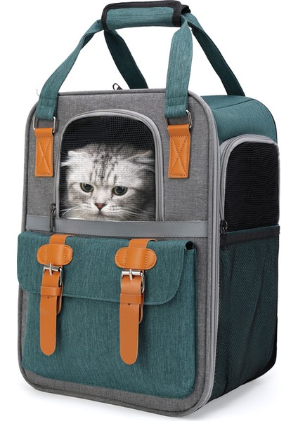 Mavi 0-10 kg Kedı Evcil Hayvan Taşıyıcıları Nefes Örgü Köpek Sırt Çantası Katlanabilir Büyük Kapasiteli Kedi Taşıma Çantası Açık Seyahat Evcil Hayvan Malzemeleri Çantası (Yurt Dışından) modelleri