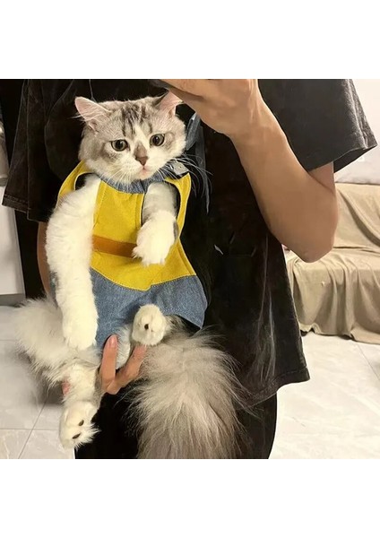 Stil 2 L Takım Elbise 4-5 kg Açık Kediler Için Taşıma Çantaları Yürüyüş Sürme Pet Tracvel Ürünleri Sphynx Kedi Katten Mascotas Taşıma Sırt Çantası Mochila Gato (Yurt Dışından) modelleri