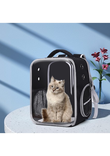Siyah Pet Kedi Taşıma Çantası Yürüyüş Kamp Gezintisi Için Rahat Kedi Taşıyıcı Sırt Çantası (Yurt Dışından) fiyatları