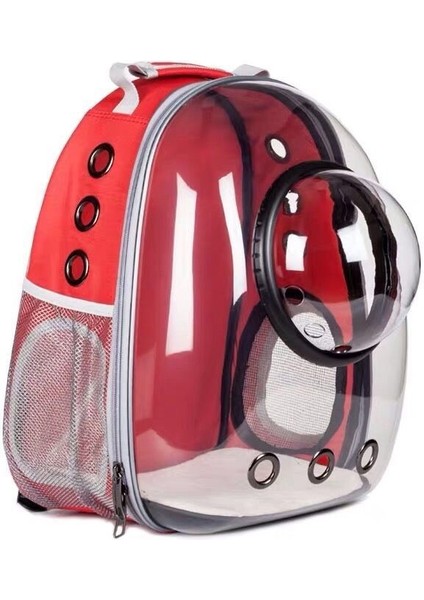 Sarı Kapaklı L Kedi Sırt Çantası, Şeffaf Uzay Kapsülü, Evcil Hayvan Çantası, Çift Omuz Köpek Sırt Çantası, Katlanabilir Kedi Taşıyıcı Kedi Sırt Çantası Evcil Hayvan (Yurt Dışından) modelleri