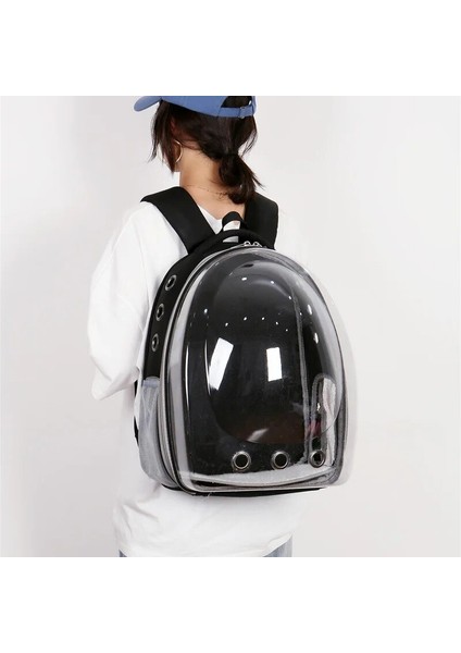 Mavi Kedi Çantası Nefes Taşınabilir Evcil Hayvan Taşıma Sırt Çantası Kedi ve Köpek Açık Hava Seyahati Sırt Çantası Şeffaf Uzay Tarzı Evcil Hayvan Sırt Çantası Kedi Çantası (Yurt Dışından) modelleri