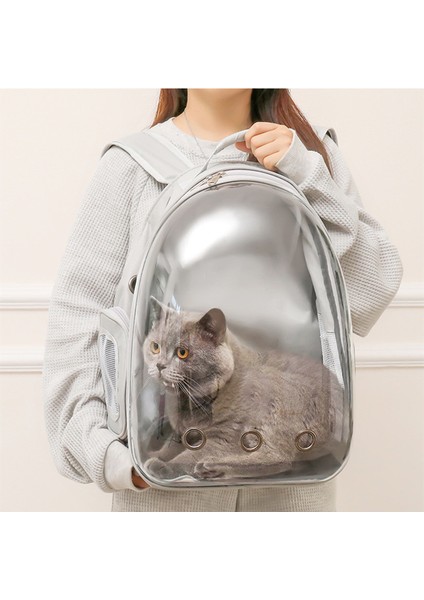 Mavi Evcil Hayvan Malzemeleri Havayolu Onayı Kedi Yavrusu Nefes Alabilir Şeffaf Kapsül Sırt Çantası Seyahat Trekking Dış Mekan Kullanımı Için Tasarlanmış (Yurt Dışından) modelleri