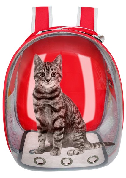 11 M Şeffaf Köpek Kedi Taşıma Çantası Nefes Uzay Kapsülü Astronot Seyahat Taşınabilir Çanta Açık Küçük Kedi Taşıyıcı Evcil Hayvan Sırt Çantası (Yurt Dışından)