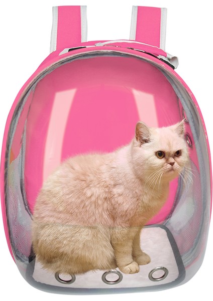 11 M Şeffaf Köpek Kedi Taşıma Çantası Nefes Uzay Kapsülü Astronot Seyahat Taşınabilir Çanta Açık Küçük Kedi Taşıyıcı Evcil Hayvan Sırt Çantası (Yurt Dışından) fırsatları