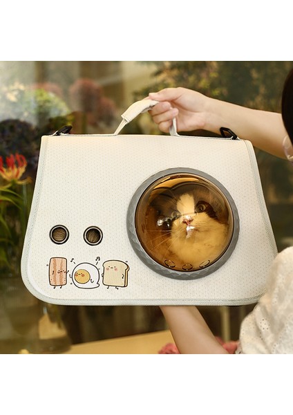 D Yumuşak Evcil Hayvan Taşıyıcıları Taşınabilir Nefes Alabilir Katlanabilir Çanta Kedi Köpek Taşıma Çantaları Giden Seyahat Evcil Hayvan Çantası Kilitleme Güvenlik Fermuarları ile (Yurt Dışından)