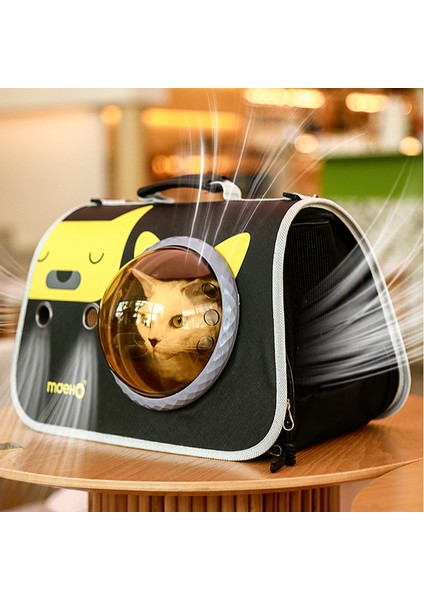D Yumuşak Evcil Hayvan Taşıyıcıları Taşınabilir Nefes Alabilir Katlanabilir Çanta Kedi Köpek Taşıma Çantaları Giden Seyahat Evcil Hayvan Çantası Kilitleme Güvenlik Fermuarları ile (Yurt Dışından) fırsatları