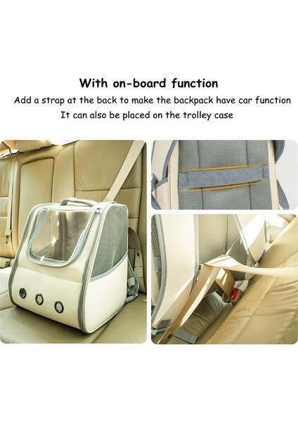 Yeşil Pet Kedi Taşıma Çantası Nefes Taşınabilir Kedi Sırt Çantası Açık Küçük Köpek Taşıma Taşıma Çantası Kedi Sırt Çantası Taşıyıcılar Yastıklı (Yurt Dışından) fırsatları