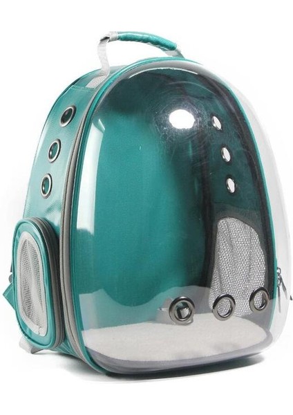 Yeşil Kedi Taşıma Sırt Çantası Pet Kedi Sırt Çantası Kitty Yavru Chihuahua Küçük Köpek Taşıyıcı Sandık Açık Seyahat Çantası Mağara Kedi Için (Yurt Dışından)