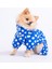 Dots Blue Peluşlu Su Geçirmez Küçük Irk Köpek Yağmurluk Tulum 2
