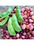 Kırmızı Çilli Şeker Fasulye Tohumu Speckled Dixie Butterpea 1