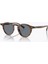 OV5504SU 1753R8 Erkek Güneş Gözlüğü 1