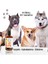 Petshampoo 300ML 2