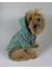 Green Comfy Köpek Montu Köpek Ceketi Köpek Dış Giyim 1