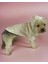 Cream Comfie Köpek Montu Köpek Ceketi Köpek Dış Giyim 2