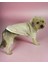 Cream Comfie Köpek Montu Köpek Ceketi Köpek Dış Giyim 4
