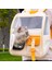 41X24.5X23CM Yeni Pet Kedi Çantası Nefes Taşınabilir Evcil Hayvan Taşıma Çantası Şeffaf Uzay Evcil Hayvan Sırt Çantası Açık Seyahat Sırt Çantası Kedi ve Köpek Için (Yurt Dışından) 2