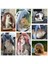 Açık Gri Kedi Taşıma Çantaları Nefes Alabilen Evcil Hayvan Taşıyıcıları Küçük Köpek Kedi Sırt Çantası Seyahat Uzay Kapsülü Kafes Evcil Hayvan Taşıma Çantası Kediler Için Taşıma (Yurt Dışından) 3