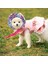 L Köpek Şapka Pet Yuvarlak Ağız Prenses Kap Kulak Deliği ile Uv Koruma Küçük Orta Büyük Köpekler Için Köpek Şapkaları Köpek Güneş Şapkası Dış Mekan Için (Yurt Dışından) 4