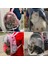 Siyah Kedi Çantası Köpek Çantası Evcil Hayvan Çantası Dışında Evcil Hayvan Çantası Taşıma Uzay Kapsülü Sırt Çantası Nefes Alabilir Taşınabilir Seyahat Şeffaf Çanta Kedi Sırt Çantası (Yurt Dışından) 4