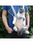 Stil 4 L Pet Taşıyıcı Kedi Taşıyıcı Ayarlanabilir Sırt Çantası Açık Seyahat Evcil Hayvan Ürünleri Ped Çanta Kedi Malzemeleri Için Pet Gezi Göğüs Çantası (Yurt Dışından) 5