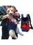 S4 Pet Sırt Çantası L 5kg Pet Kedi Sırt Çantası Taşıyıcı Ayarlanabilir Pet Taşıma Çantası Chihuahua Pug Küçük Köpekler Için Açık Seyahat Omuz Çantaları Sac Chat Chien (Yurt Dışından) 2