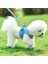 Kırmızı M Reflektif Yavru Köpekler ve Kedi Koşum Yeleği, Yürüyüş Kurşun Kemerli, Ayarlanabilir Kedi Yakalı Polyester Polyester Koşum Takımı, (Yurt Dışından) 4