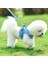 Mavi L Reflektif Yavru Köpekler ve Kedi Koşum Yeleği, Yürüyüş Kurşun Kemerli, Ayarlanabilir Kedi Yaka Polyester Polyester Koşum Takımı, (Yurt Dışından) 4