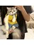 Stil 2 L Takım Elbise 4-5 kg Açık Kediler Için Taşıma Çantaları Yürüyüş Sürme Pet Tracvel Ürünleri Sphynx Kedi Katten Mascotas Taşıma Sırt Çantası Mochila Gato (Yurt Dışından) 3