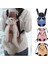 Stil 1 M Pet Kedi Taşıyıcı Moda Seyahat Çantası Açık Köpek Sırt Çantası Nefes Evcil Hayvan Çantaları Omuz Köpek Taşıyıcı Küçük Köpek Evcil Hayvan Ürünleri (Yurt Dışından) 4