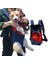 S4 Pet Sırt Çantası S 2.5kg Pet Kedi Sırt Çantası Taşıyıcı Ayarlanabilir Pet Taşıma Çantası Chihuahua Pug Küçük Köpekler Için Açık Seyahat Omuz Çantaları Kesesi Sohbet Chien (Yurt Dışından) 3