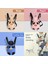 Sarı Xl Hoopet Pet Kedi Taşıyıcı Moda Seyahat Çantası Köpek Sırt Çantası Nefes Pet Çanta Omuz Köpek Taşıyıcı (Yurt Dışından) 2