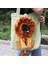 Bir Moda Aslan Şeklinde Omuz Çantası Nefes Alabilir Kediler ve Köpekler Için Pet Kanvas Çanta Tote Çanta Küçük Evcil Hayvan Çantası B6Z4 (Yurt Dışından) 4