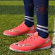  Renk Pembe