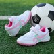  Renk Pembe